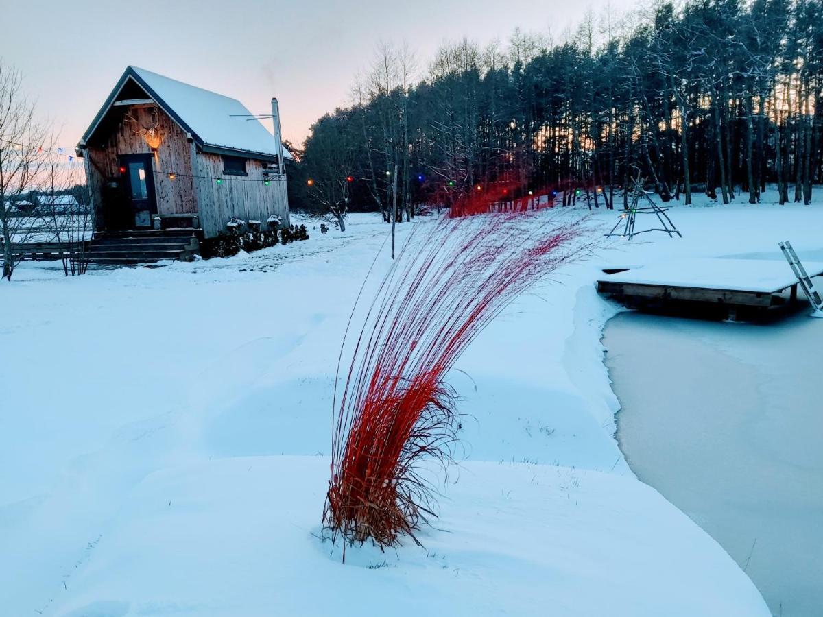 Holiday home Brivdienu Namins Ar Pirtinu